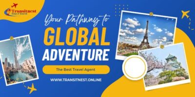 Transitnest.online